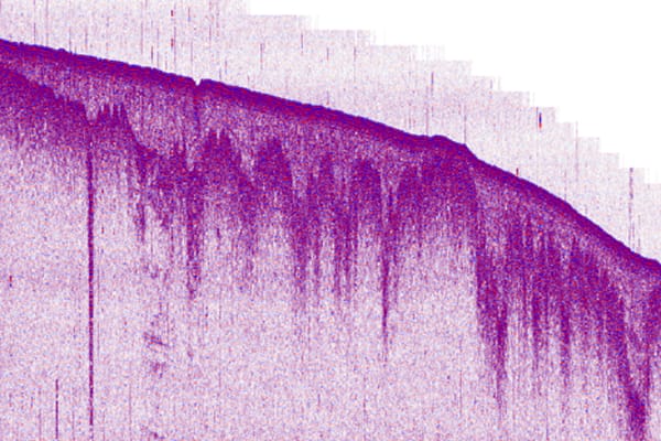 常见的水下声音有哪些？