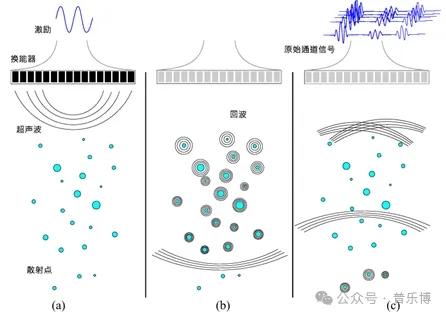 超声探头和超声机器人